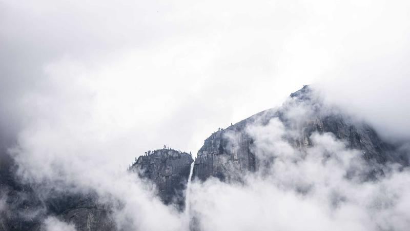 柠檬磁力为教育机构提供的磁力搜索解决方案案例