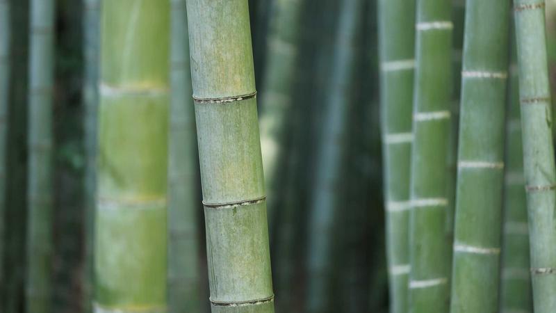 柠檬磁力助力企业数据管理与磁力宝官网集成案例